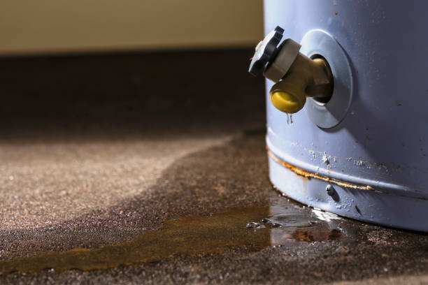 Best Fire Damage Restoration  in Schertz, TX