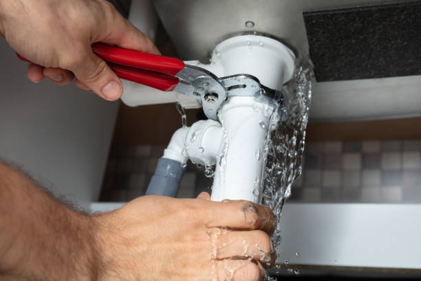 Best Mold removal after water damage  in Schertz, TX