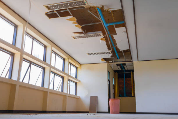 Best Water damage repair service  in Schertz, TX