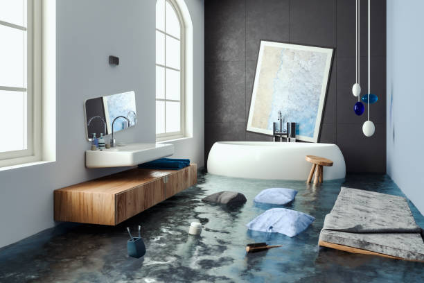 Best Flood damage cleanup  in Schertz, TX