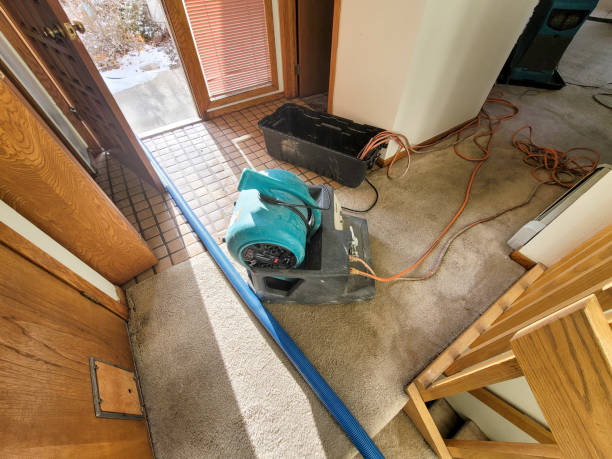 Best Water damage mitigation services  in Schertz, TX