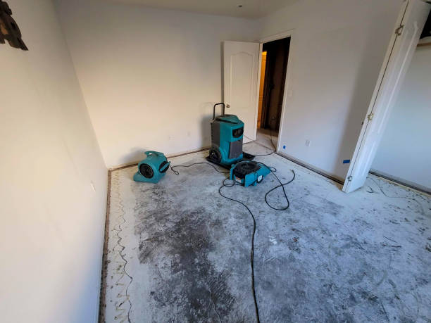 Best Flooded house restoration  in Schertz, TX