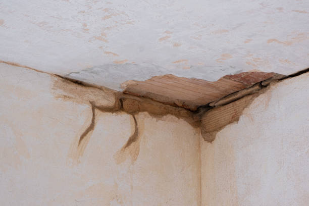 Best Water damage restoration near me  in Schertz, TX