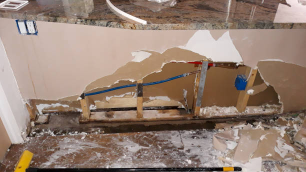 Best Sewage cleanup and water damage restoration  in Schertz, TX