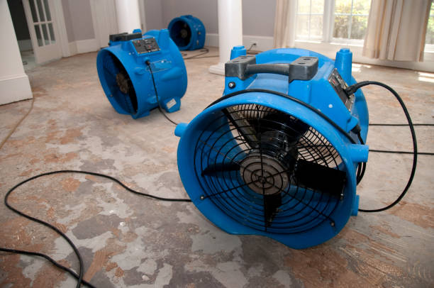 Best 24-hour water damage restoration  in Schertz, TX