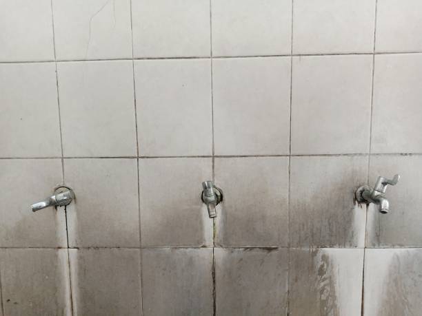 Best 24-hour water damage restoration  in Schertz, TX