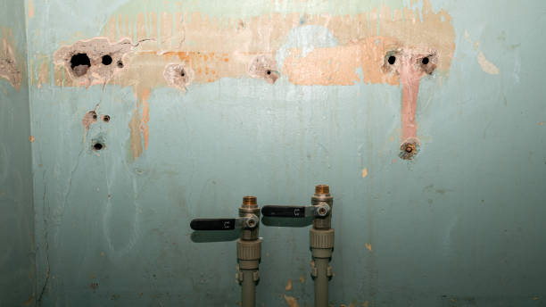 Water damage restoration experts in Schertz, TX