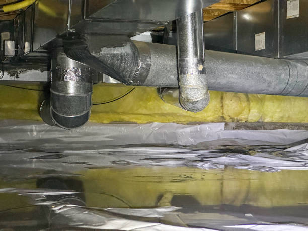 Best Flood damage cleanup  in Schertz, TX