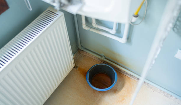 Best Flood restoration services  in Schertz, TX