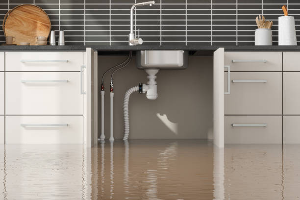 Best Ceiling water damage repair  in Schertz, TX