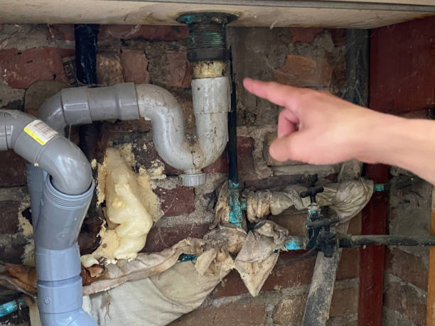 Best Water damage restoration experts  in Schertz, TX
