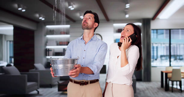 Best Professional water damage repair  in Schertz, TX