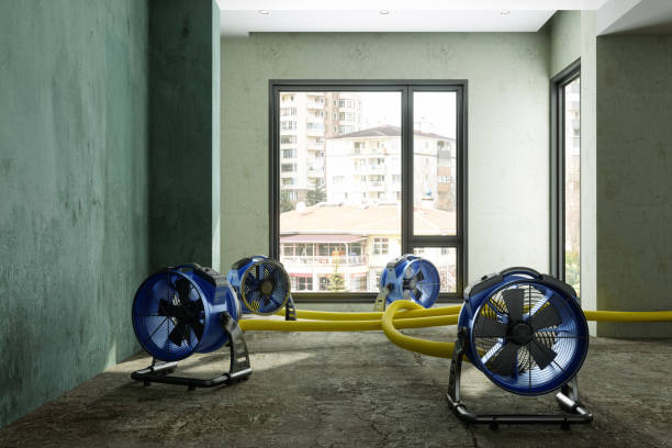 Best Fire Damage Restoration  in Schertz, TX